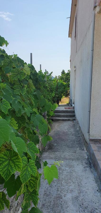 Margaret'S Guest House Mesopotam Εξωτερικό φωτογραφία